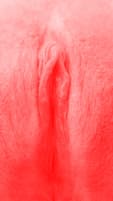 red vulva