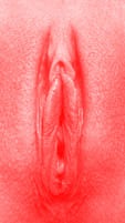 red vulva