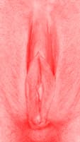 red vulva