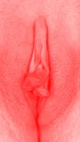 red vulva