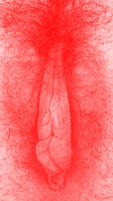 red vulva