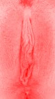 red vulva