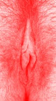 red vulva