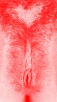 red vulva